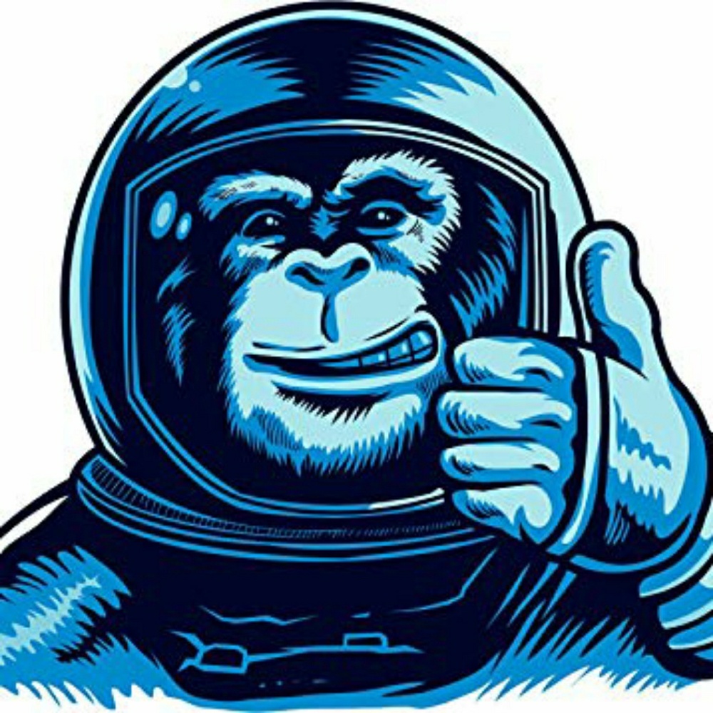 I am the cat. Thank you.